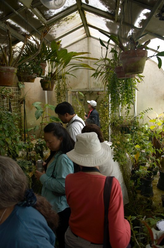 034-Bill'sDinner at Bills 5WG